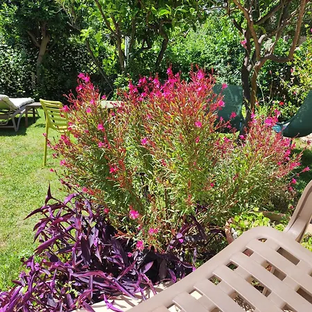 Il Giardino Di Tatiana Rooms&Breakfast-2